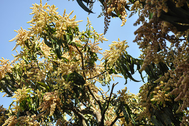 Similar image 21024616