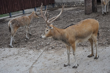 Similar image 21025379