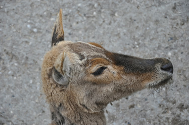 Similar image 21025380