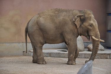 Similar image 21025381