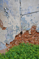 Similar image 21024732