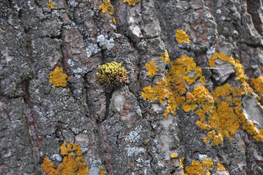 Similar image 21024733