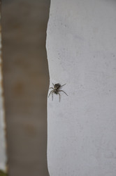 Similar image 21025070