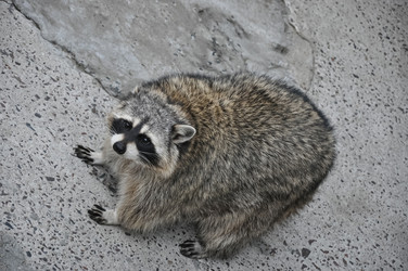 Similar image 21025071