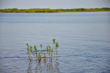 Similar image 21022071