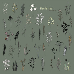 Similar image 21023573