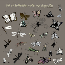 Similar image 21023579