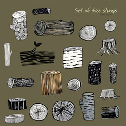 Similar image 21023700