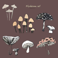 Similar image 21023701