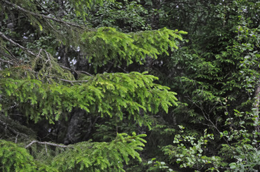 Similar image 21024151