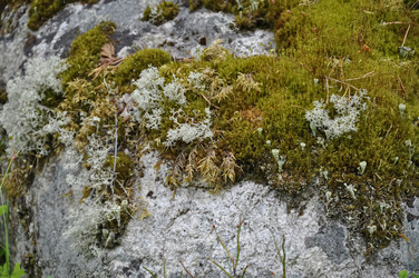 Similar image 21024353