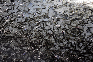 Similar image 21024416