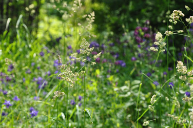 Similar image 21024417