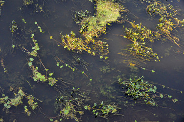 Similar image 21024418