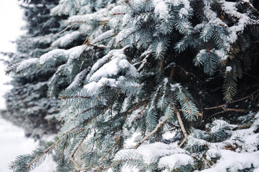 Similar image 21024419