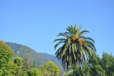 Similar image 21024421