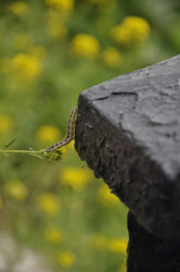 Similar image 21024422