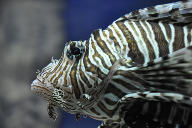 Similar image 21025296