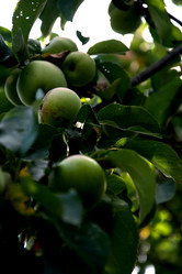 Similar image 21025382