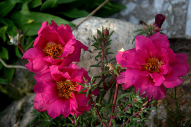 Similar image 21025383