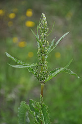 Similar image 21025064