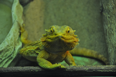 Similar image 21025065