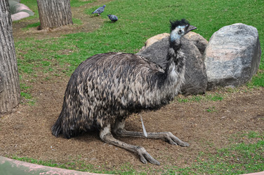 Similar image 21025073