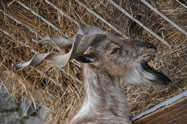 Similar image 21025076