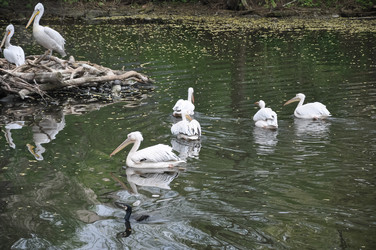 Similar image 21025077