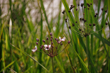 Similar image 21025079