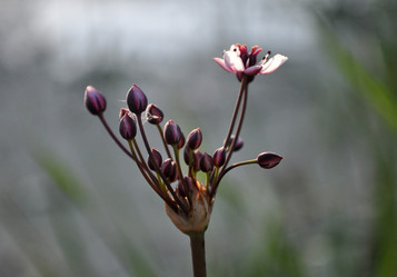 Similar image 21025080