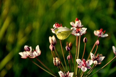 Similar image 21025081