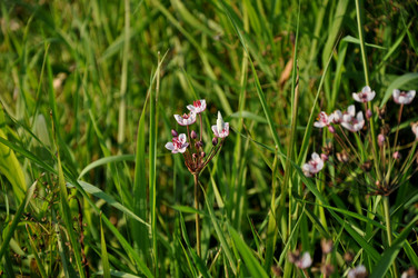 Similar image 21025083