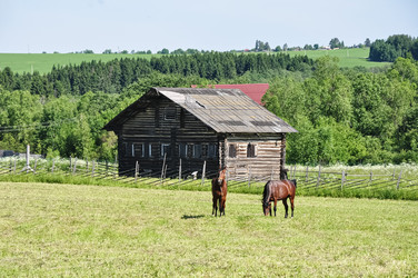 Similar image 21025242