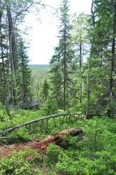 Similar image 21024436