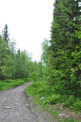 Similar image 21024437