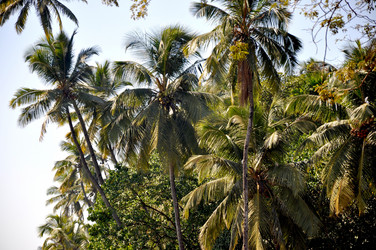 Similar image 21025306