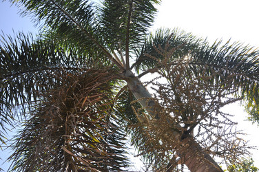 Similar image 21025307