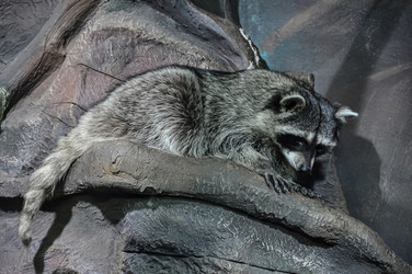 Similar image 21025389