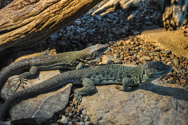 Similar image 21025391