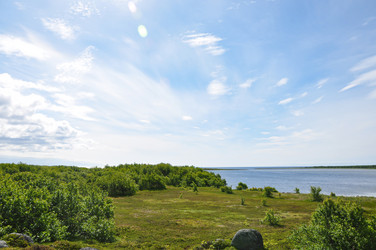 Similar image 21024740