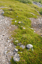 Similar image 21024741