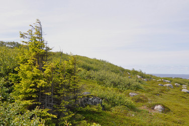 Similar image 21024742