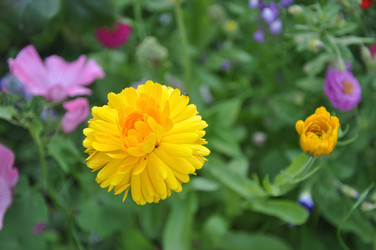 Similar image 21025393