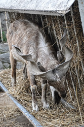 Similar image 21025396