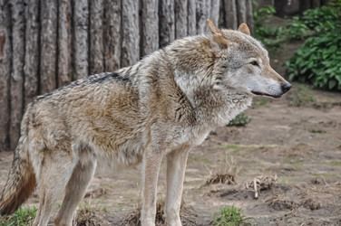 Similar image 21025399