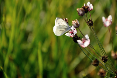 Similar image 21025084