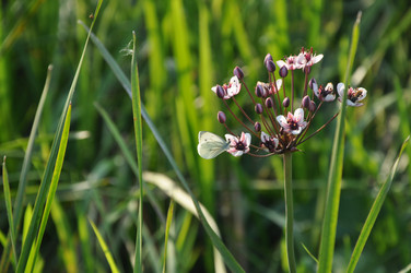 Similar image 21025085