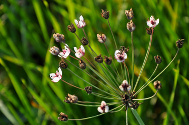 Similar image 21025086