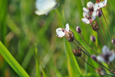 Similar image 21025087